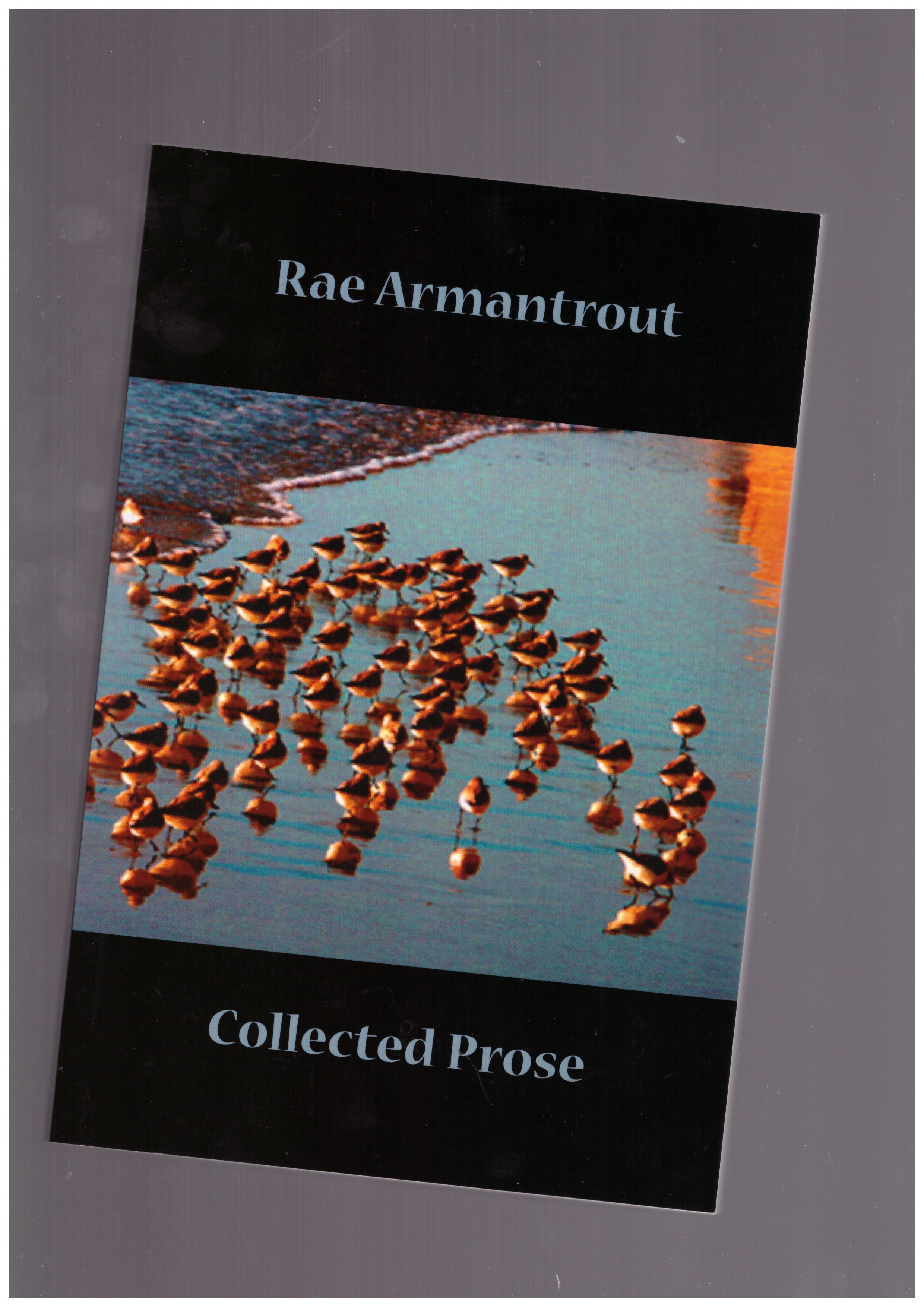 ARMANTROUT, Rae - Collected Prose